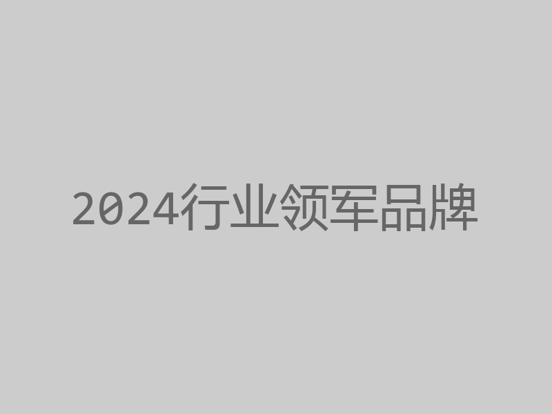 2024年行业领军品牌